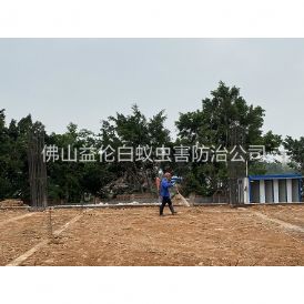 芦苞新建地基预防白蚁工程