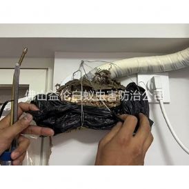 迳口房屋白蚁诱杀工程